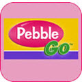 pebblego icon